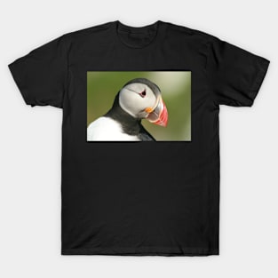 Posing Puffin II T-Shirt